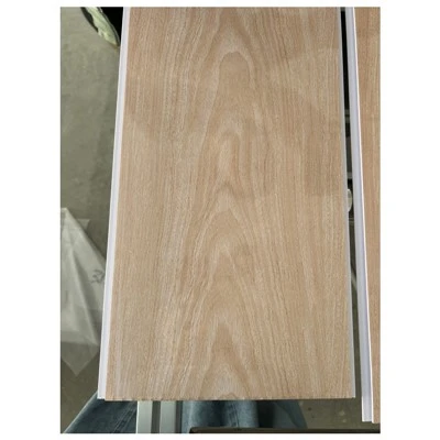 Panneau de plafond en PVC Techo PVC