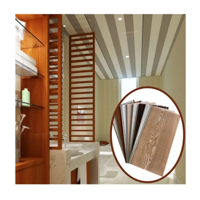 Panneau de plafond en PVC Techo PVC